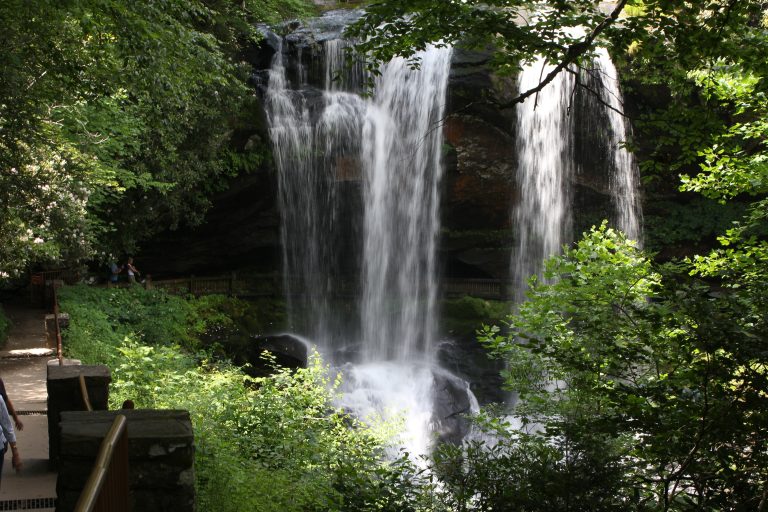 Img 0654