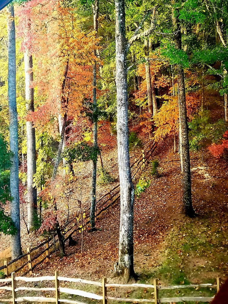 My Little Piece Of Heaven In Franklin