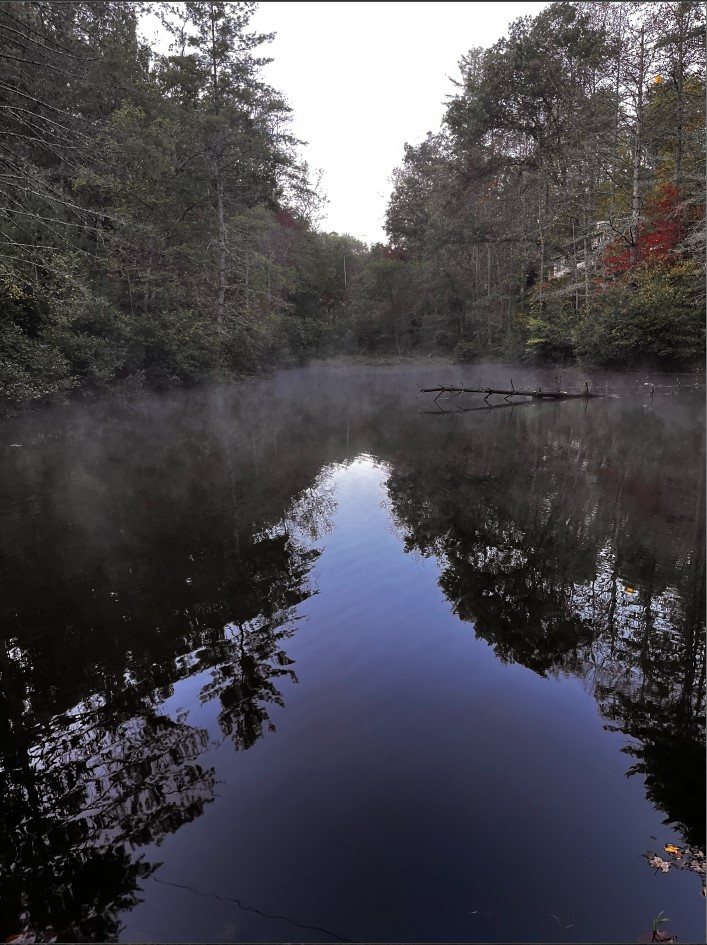 Time Of Peace. The Stillness Hit Me After The Stress Of The Last Couple Of Weeks And Mother Nature’s Wrath. Our Pond In Otto, Nc.